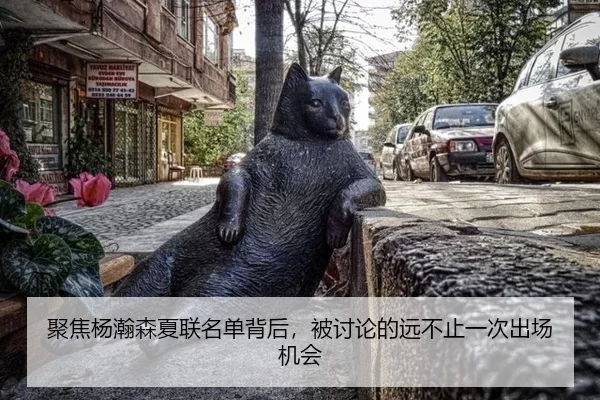 聚焦杨瀚森夏联名单背后，被讨论的远不止一次出场机会
